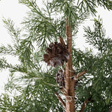 Cedar Evergreen Christmas Tree 140cm