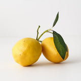 Lemon Cluster with Leaf Yellow 15cm