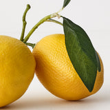 Lemon Cluster with Leaf Yellow 15cm