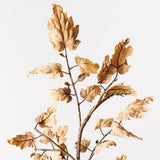 Perilla Leaf Spray Almond 89cm