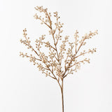 Wattle Spray Natural 69cm