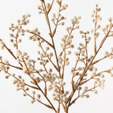 Wattle Spray Natural 69cm