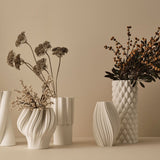 Wattle Spray Natural 69cm