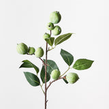 Camellia Fruit Spray Green 61cm