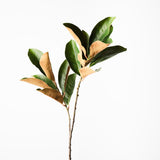 Magnolia Leaf Spray Green 70cm