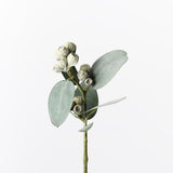 Eucalyptus Tetragona Spray Grey Green 35cm