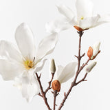 Japanese Magnolia Spray White 78cm