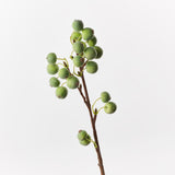 Berry Spray Green 50cm