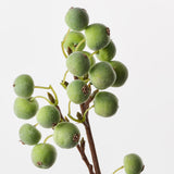 Berry Spray Green 50cm