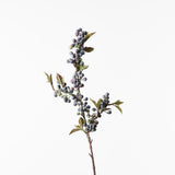 Berry Spray Blue 61cm