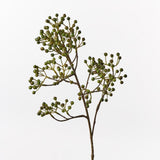 Berry Spray Green 66cm