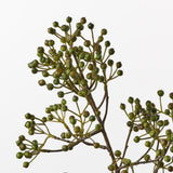 Berry Spray Green 66cm