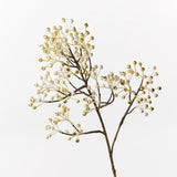 Berry Spray White 66cm