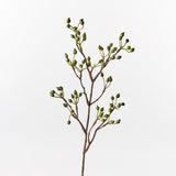 Rosehip Spray Green 61cm