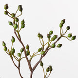 Rosehip Spray Green 61cm