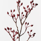 Rosehip Spray Red 61cm