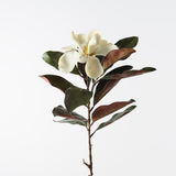 Magnolia Cream Green 87cm