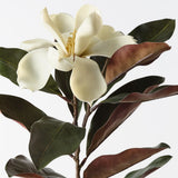 Magnolia Cream Green 87cm