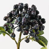 Berry Pick Eggplant Green 29cm