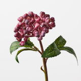 Berry Pick Burgundy 29cm