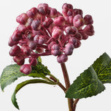 Berry Pick Burgundy 29cm
