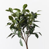 Blueberry Bush Green 35cm