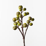 Loquat Spray Olive 59cm