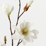 Magnolia Tree Spray White 79cm