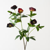 Hellebore Spray Wine 74cm