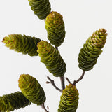 Pine Cone Spray Green 61cm