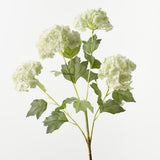 Snowball Spray Light Green 74cm
