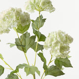 Snowball Spray Light Green 74cm