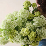 Snowball Spray Light Green 74cm