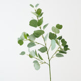 Eucalyptus Spray Green 90cm