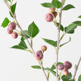 Crabapple Spray Plum 62cm