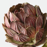 Artichoke Stem Burgundy Green 32cm