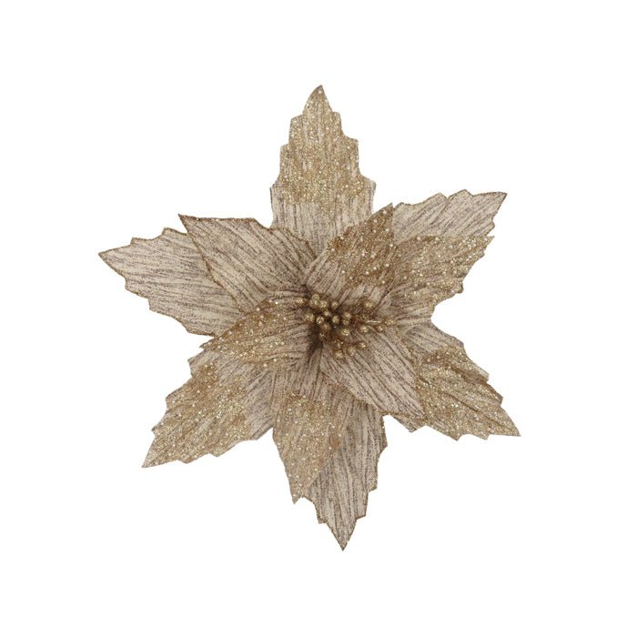 FABRIC CLIP POINSETTIA NATURAL SHARP EDGE - Pure Apotheca