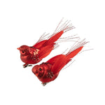 FEATHER BIRD MATT RED - Pure Apotheca