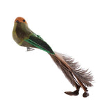 FERN FEATHER CLIP BIRD - Pure Apotheca