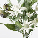 Flannel Flower Mix Bouquet 33cm - Pure Apotheca