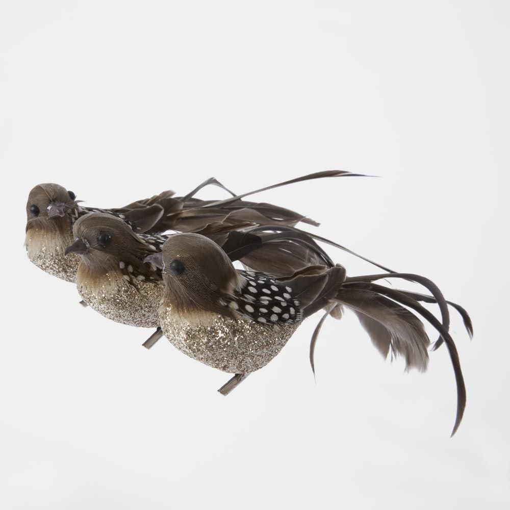 Forest Spot Clip on Bird Set of 3 - Pure Apotheca