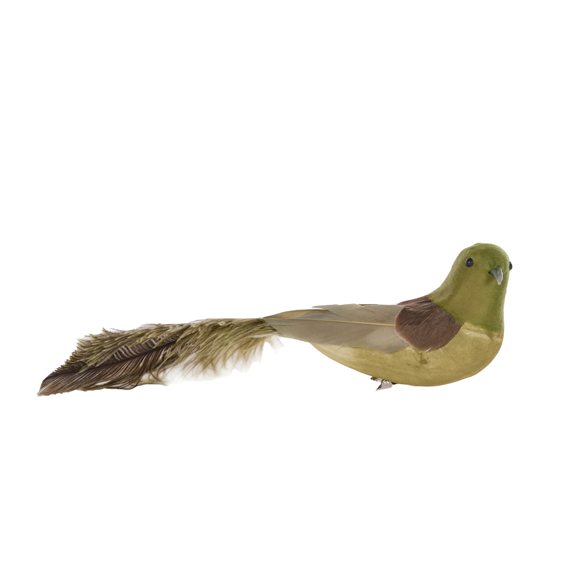 FORREST GREEN BUSHY TAILED CLIP BIRD - Pure Apotheca