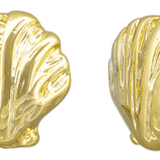 Gold Marine Scallop Earring - Pure Apotheca