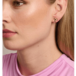 Gold Pippa Bow Earring - Pure Apotheca