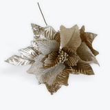 GOLD POINSETTIA - Pure Apotheca