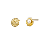 Gold Shelley Studs - Pure Apotheca