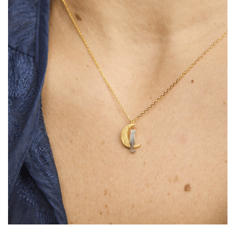 Gold Silver Moon Cat Necklace - Pure Apotheca