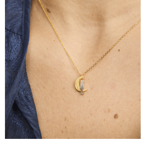 Gold Silver Moon Cat Necklace - Pure Apotheca
