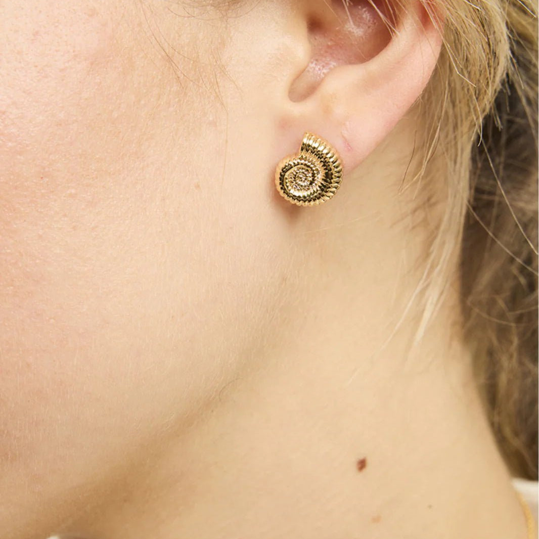 Gold Sundial Shell Earring - Pure Apotheca