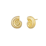 Gold Sundial Shell Earring - Pure Apotheca